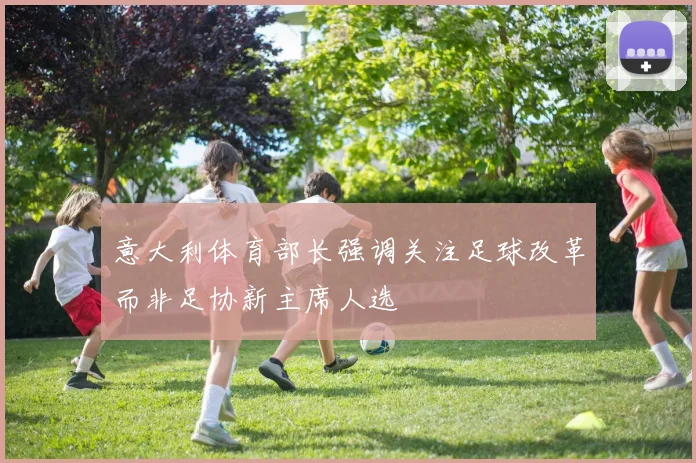意大利体育部长强调关注足球改革而非足协新主席人选